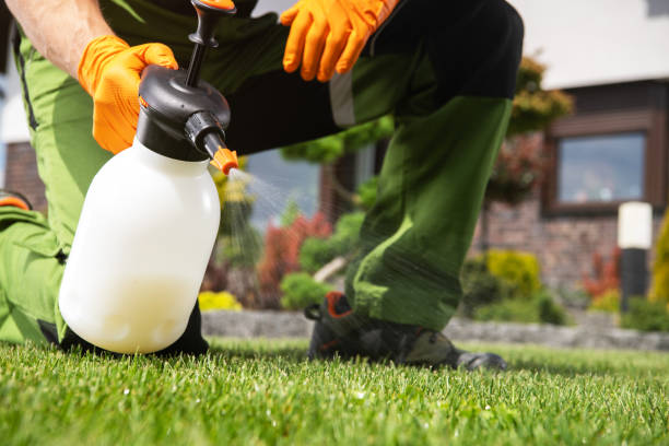 Best Best Pest Control Companies  in Bonita, CA