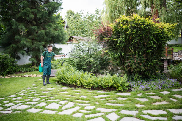 Pest Prevention Services in Bonita, CA