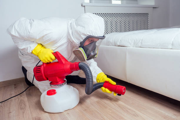 Best Ant Control Services  in Bonita, CA